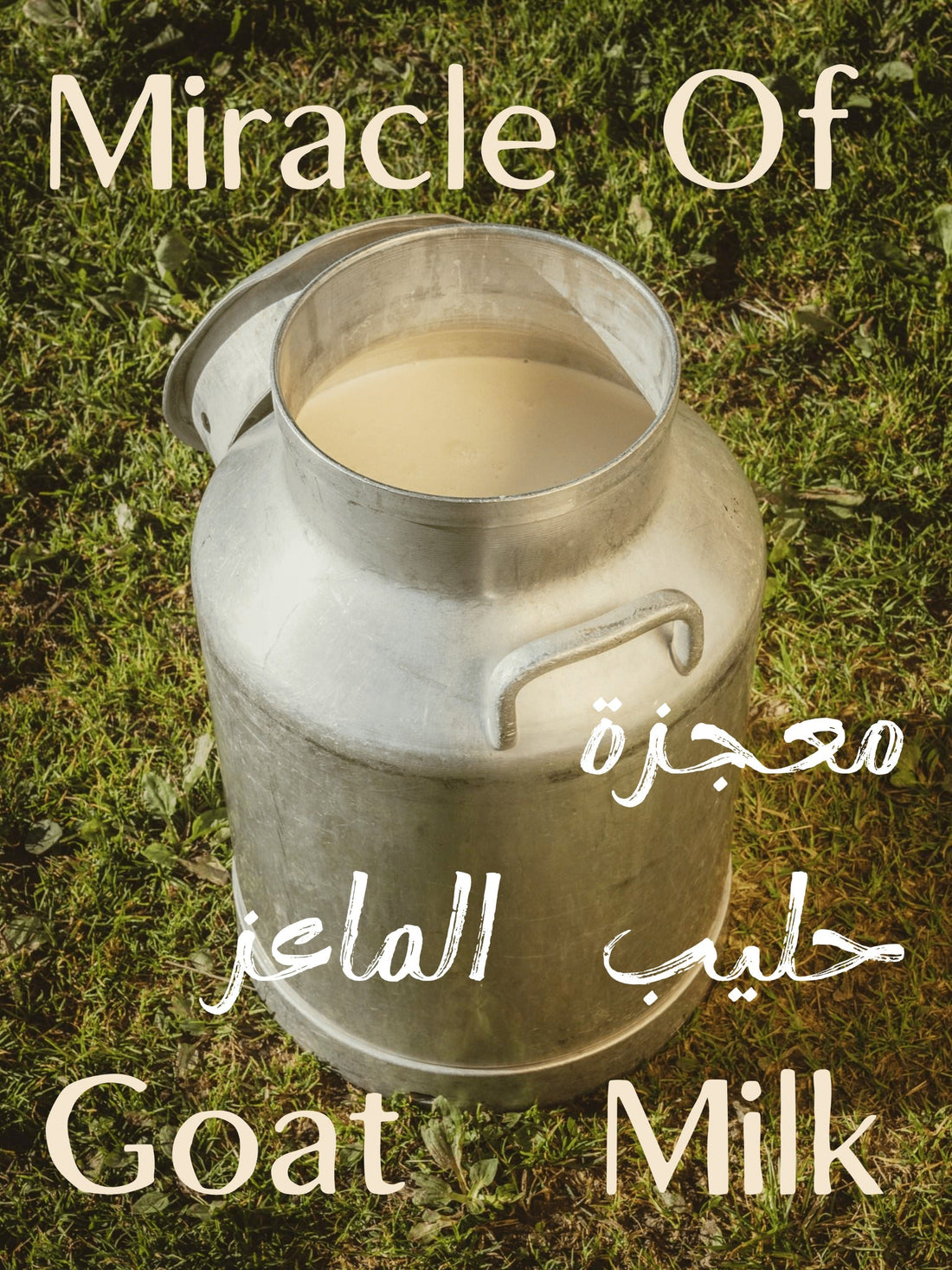 The Magic of Goat Milk Soap: Nature’s Secret to Beautiful Skin